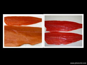 Sockeye and King Salmon Combo