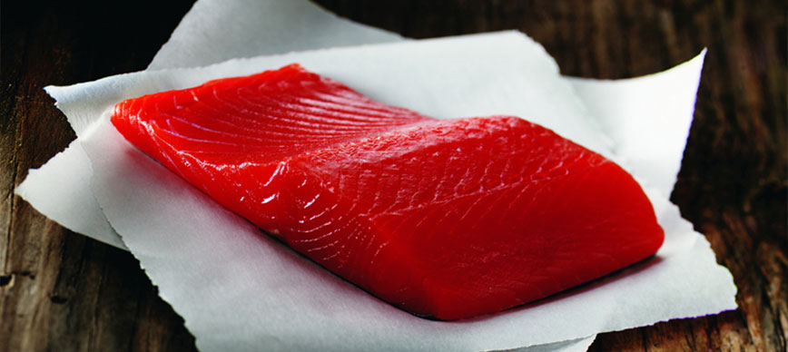 Sockeye Salmon
