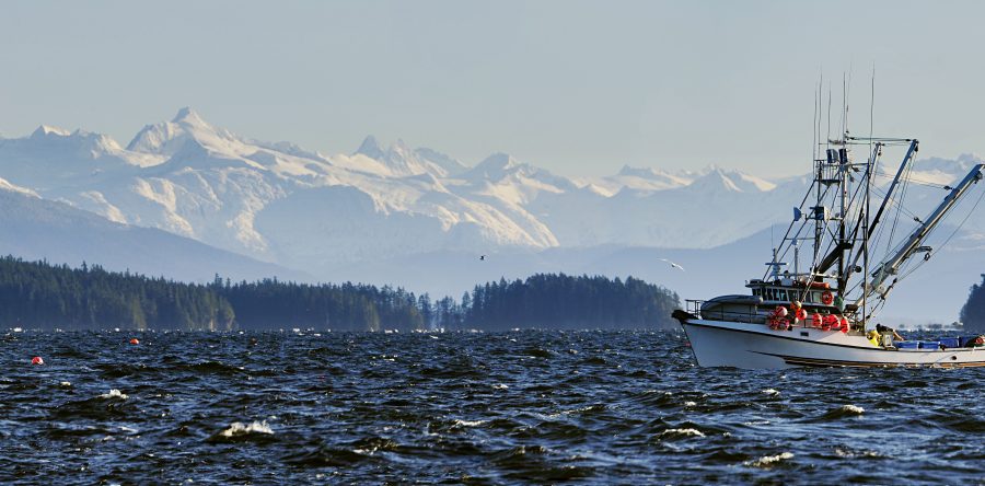 Alaska’s Finest Seafood